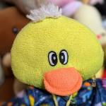 Ducky Profile Picture