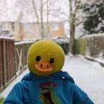 Diddz Profile Picture