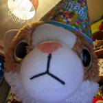 Widdle Boots Profile Picture