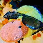 Quackers Profile Picture